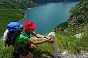 Ai rifugi e laghi del Barbellino…spettacolo assicurato ! L’8 luglio 2015 - FOTOGALLERY